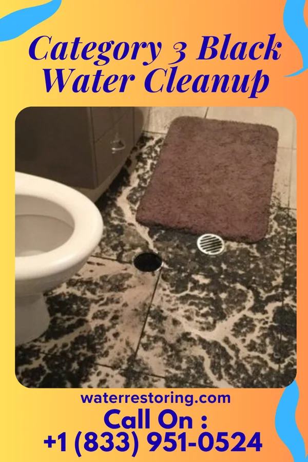 Category 3 Black Water Cleanup in Barclay, MD