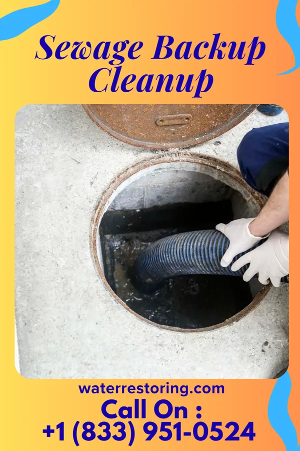 Sewage Backup Cleanup in Barclay, MD