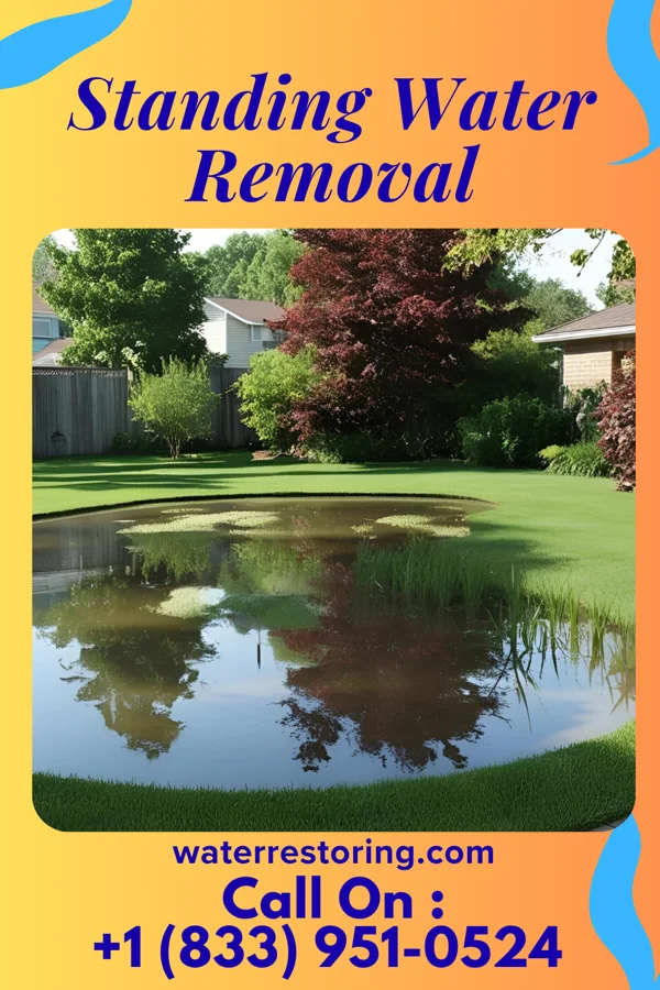 Standing Water Removal in Barclay, MD